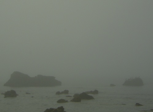 scoglio-dei-cormorani-nella-nebbia.JPG