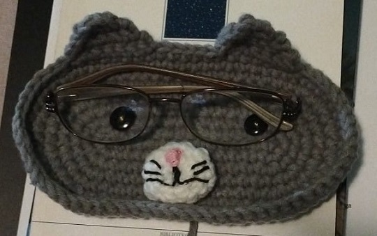 gatto-grigio.jpeg
